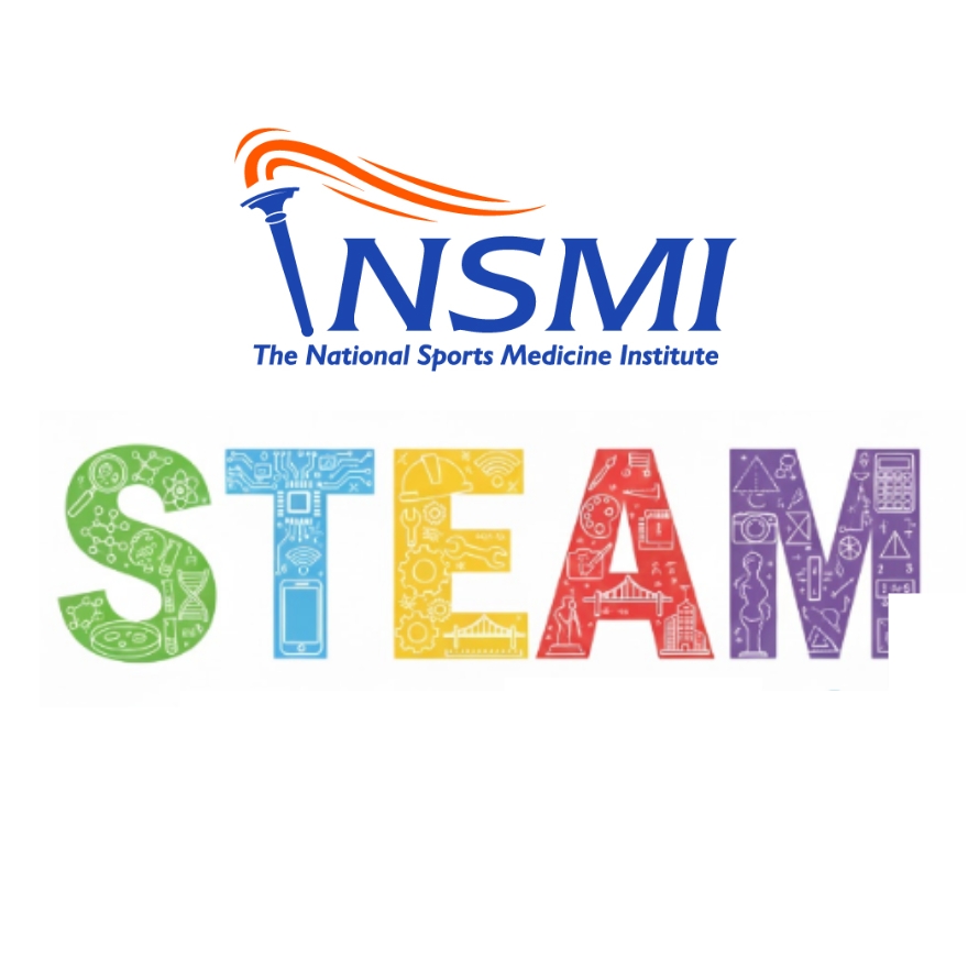 NSMI logo